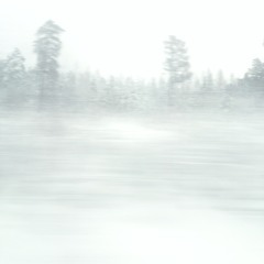 Emil Svanängen & Mattias Ståhl Trio