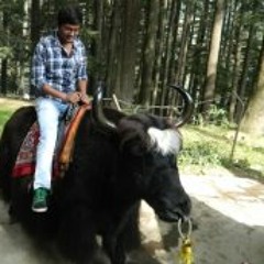 Neelesh Chitransh