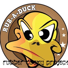 rubber ducky project