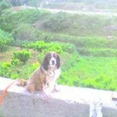 Rellinasenc Barcelona