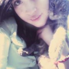 Sandra Molina Gato Oso