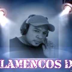 William Flamenco 1