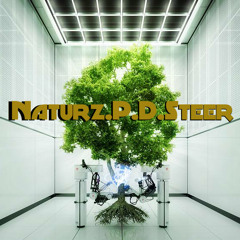 Naturz P D Steer