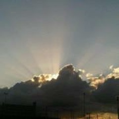 Marij van Overvoorde