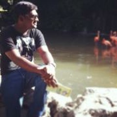 Balasubramanian Palani