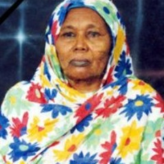 Tarig Jibreel