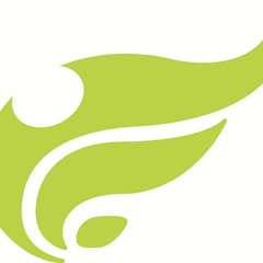 Stream 魔法騎士レイアース ゆずれない願い Yuzurenai Negai From Magic Knight Rayearth By Azur Listen Online For Free On Soundcloud