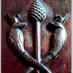 Mark Torsion Brackley