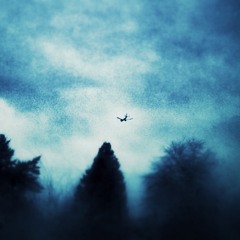 Daydreams On Microfilm