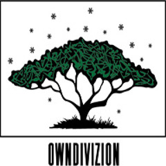 OwnDiviZion
