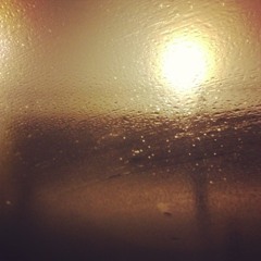 The Last Of The Natives