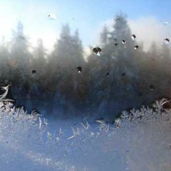 TheOsloDeadtrashProject