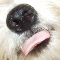 Beverley Mettam Lougher