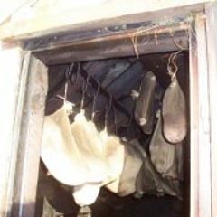 Irma Þöll Þorsteinsdóttir