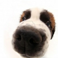 Armin Van Buuren - Feel So Unforgivable Good (darko6ic mashup)