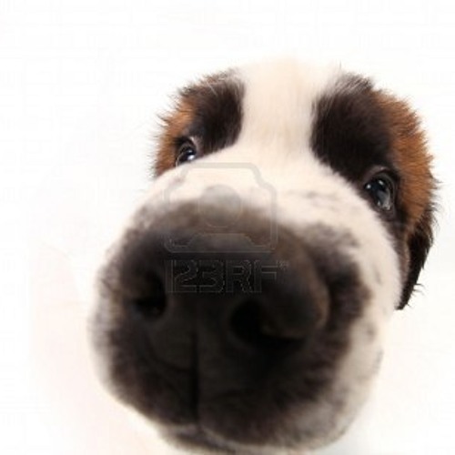 Armin Van Buuren - Feel So Unforgivable Good (darko6ic mashup)