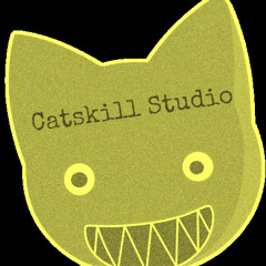 CatskillStudio