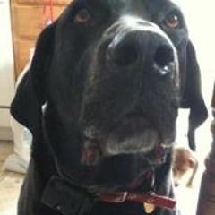 Michelle Bailey Gibbert