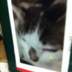 Nga Girlfriend Me Zo