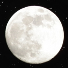 mogardEnsana مجرد إنسانة