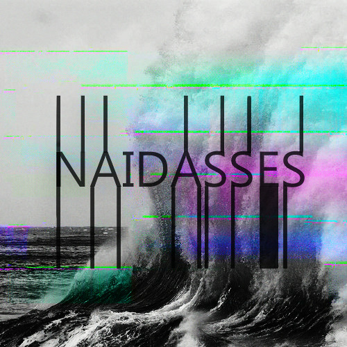 NaidassesRecords’s avatar