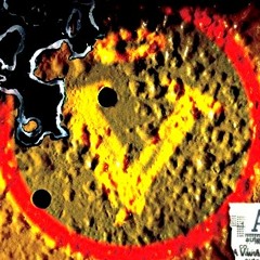 elvisirylosdelaverno