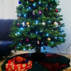 Jessica M.C. Ballesteros