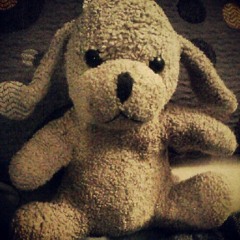 hong kong rent a cops