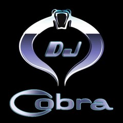 DjCobra2012