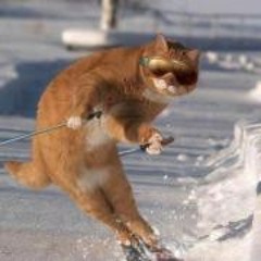 Maryam Mehdizadeh Sedigh