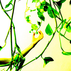 ichbinstone & grocroulant