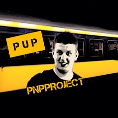 PUP.PNPPROJECT
