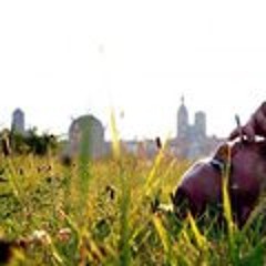 Kapitän Lennart Oller