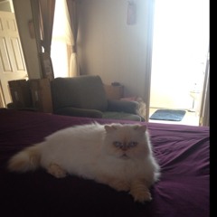 mauverock@hotmail.com