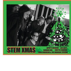 STEM XMAS