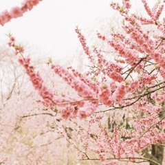 더하얀 - 고백 연습 (Feat. No Noo)