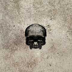 The Last Days Of Mankind