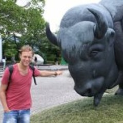 Niek Heukensfeldt Jansen