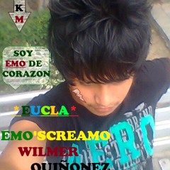 Wilmer Emo'Screamo