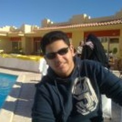 Mina Nashaat Labib