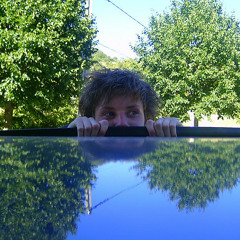 Michaël van de Weerd