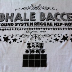 bhale bacce crew