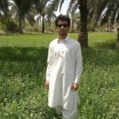 Asef Mehrjoo