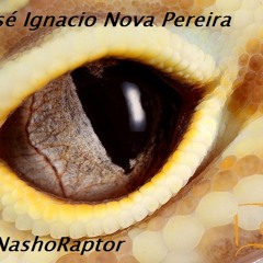 nashoraptor
