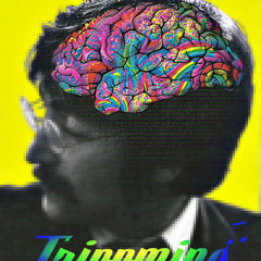 Trippmind