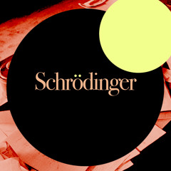 Official-Schrodinger