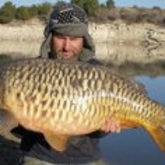 Nick Andrew Shattock