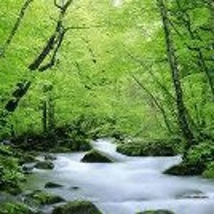 Main Aisi Mohabbat Karta Hoon__-[www_flvto_com].mp3