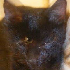 Amanda Arancibia Zeballos