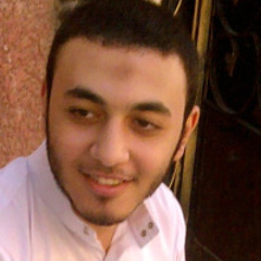 Ahmed Hany